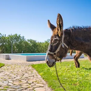 Alojamento de Turismo Rural Burro By Host Wise Portugal